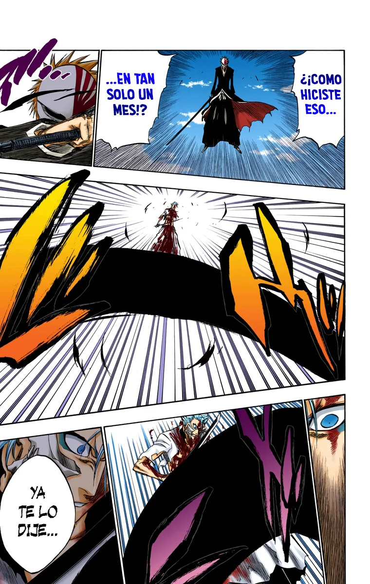 Bleach – Digital Colored Comics Capítulo 232 - Page 14