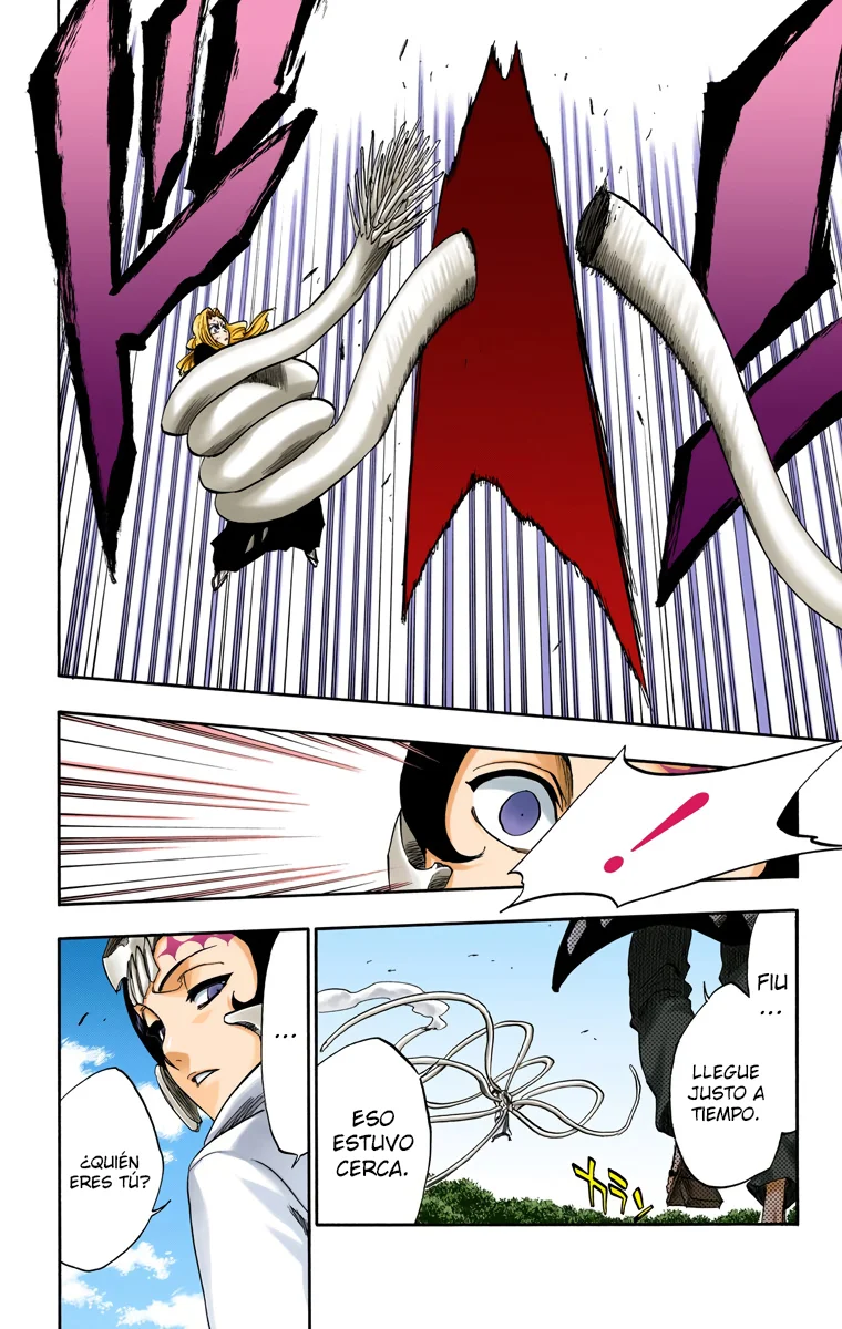 Bleach – Digital Colored Comics Capítulo 233 - Page 13