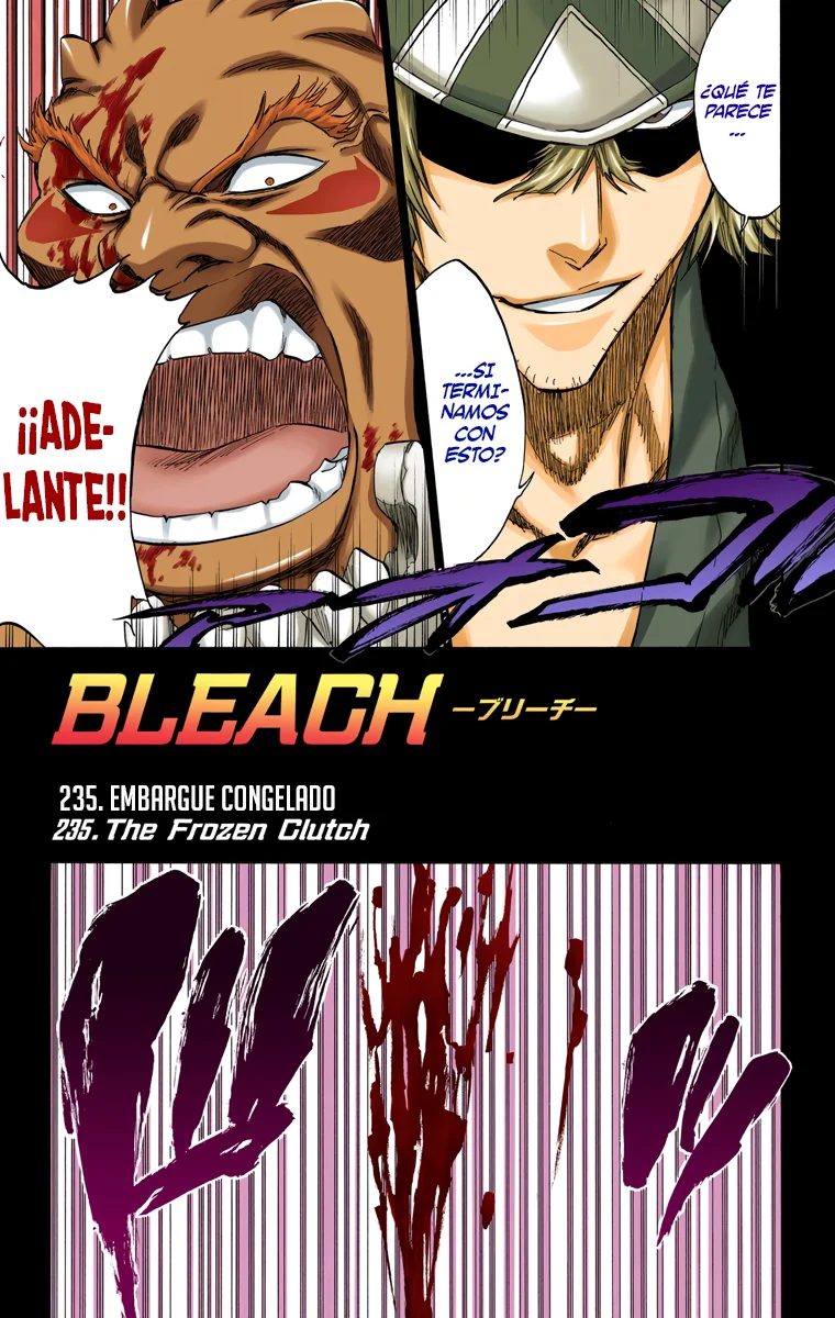 Bleach – Digital Colored Comics Capítulo 235 - Page 10