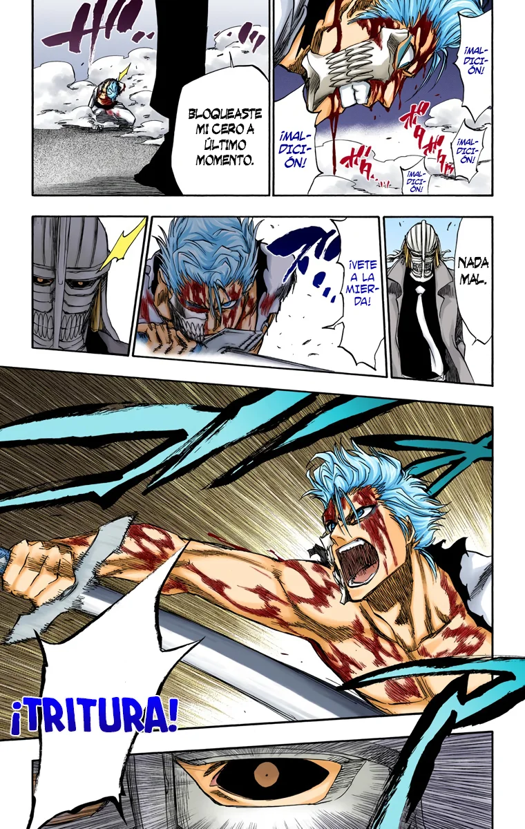 Bleach – Digital Colored Comics Capítulo 236 - Page 14