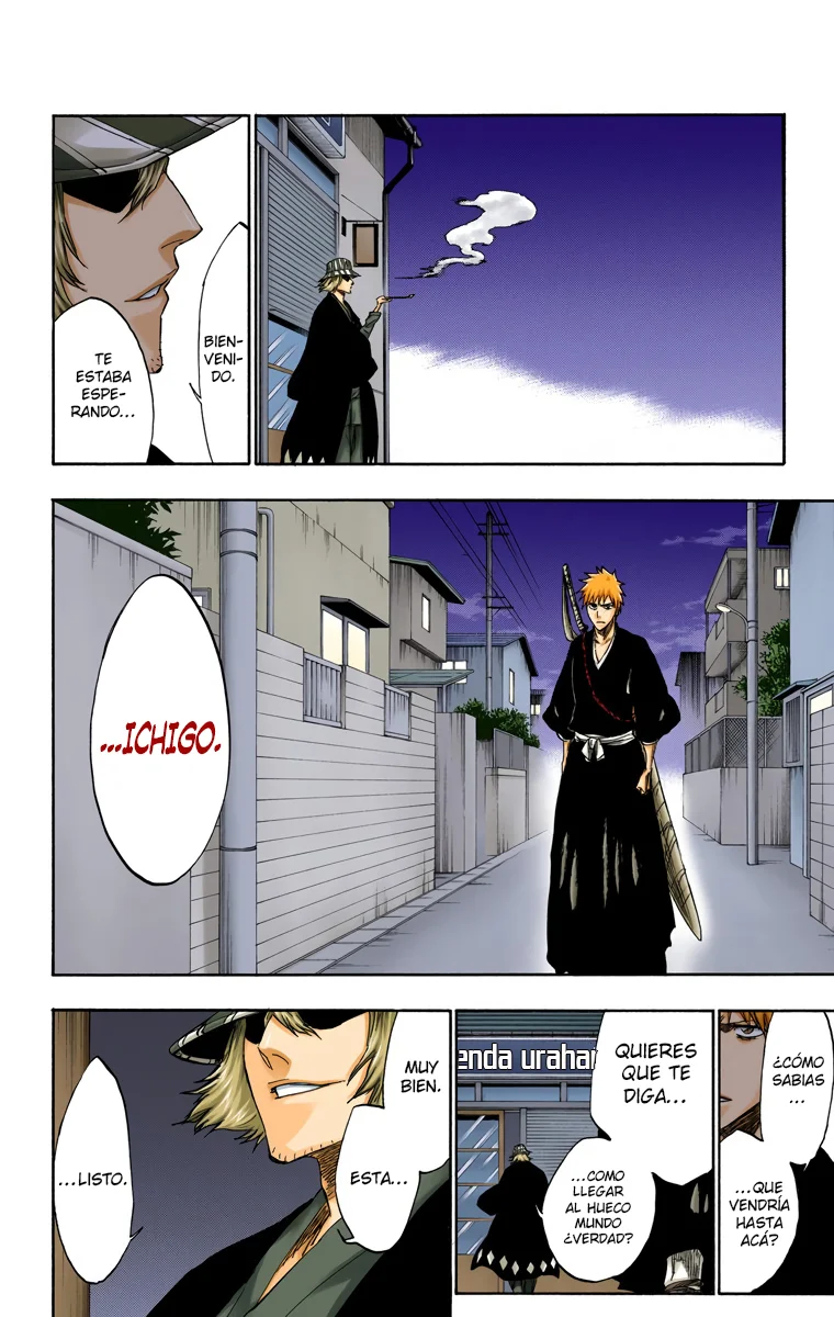 Bleach – Digital Colored Comics Capítulo 239 - Page 16