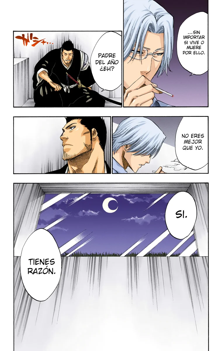 Bleach – Digital Colored Comics Capítulo 241 - Page 13