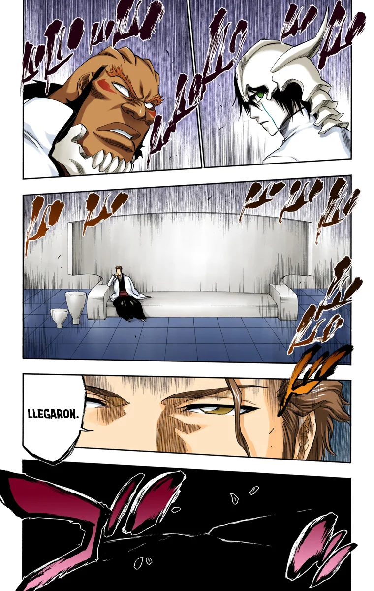 Bleach – Digital Colored Comics Capítulo 241 - Page 16
