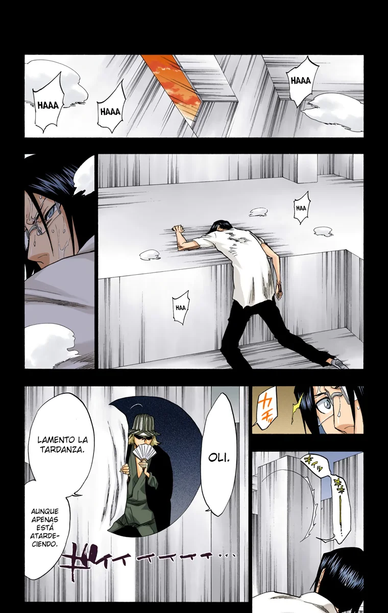 Bleach – Digital Colored Comics Capítulo 241 - Page 5