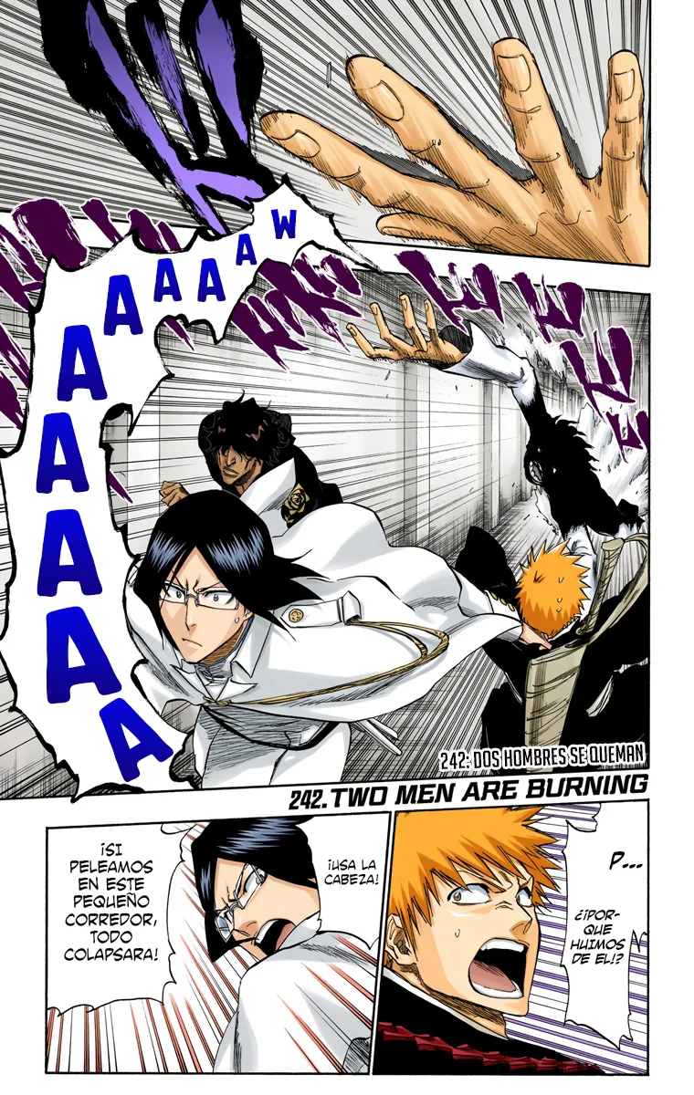 Bleach – Digital Colored Comics Capítulo 242 - Page 2