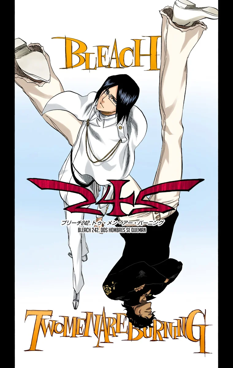 Bleach – Digital Colored Comics Capítulo 242 - Page 7