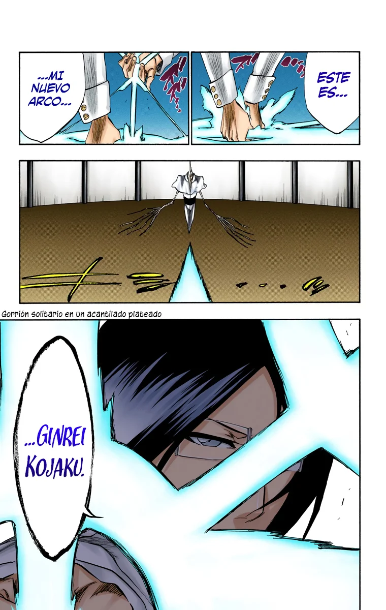 Bleach – Digital Colored Comics Capítulo 243 - Page 8
