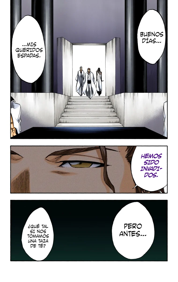 Bleach – Digital Colored Comics Capítulo 244 - Page 18