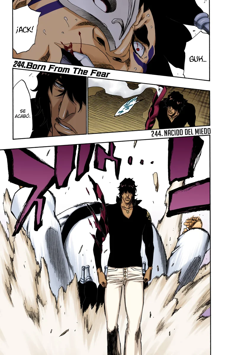 Bleach – Digital Colored Comics Capítulo 244 - Page 2