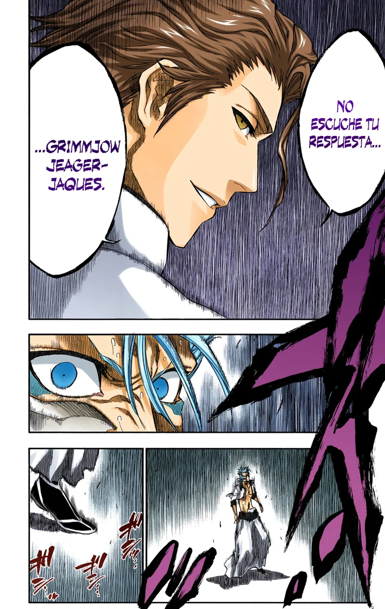 Bleach – Digital Colored Comics Capítulo 245 - Page 10