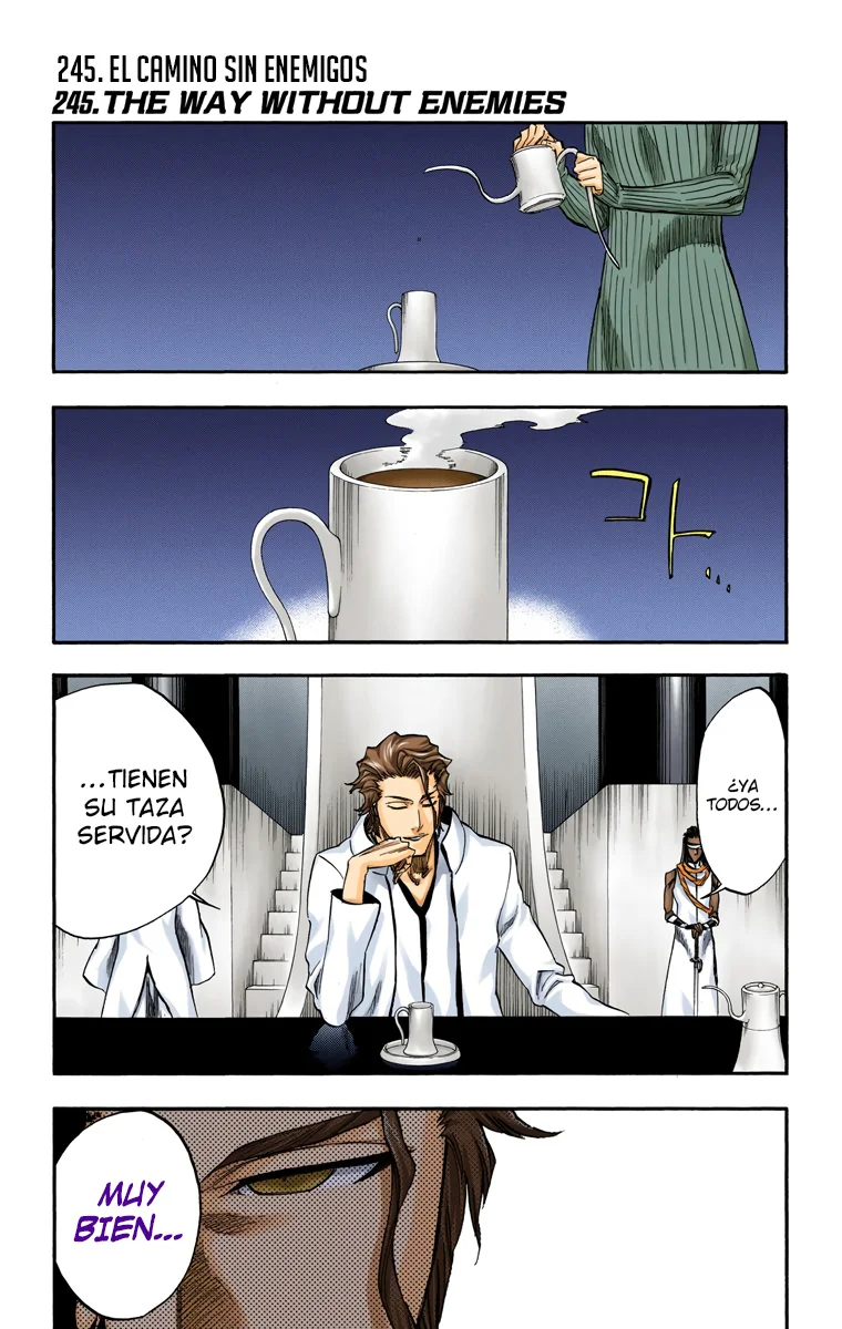 Bleach – Digital Colored Comics Capítulo 245 - Page 2