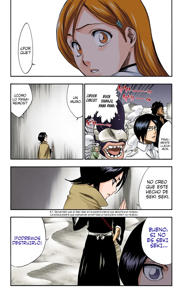 Bleach – Digital Colored Comics Capítulo 247 - Page 19