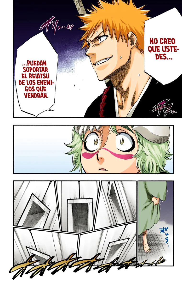 Bleach – Digital Colored Comics Capítulo 248 - Page 12