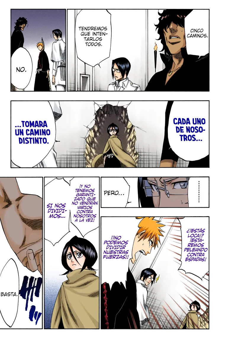 Bleach – Digital Colored Comics Capítulo 248 - Page 13