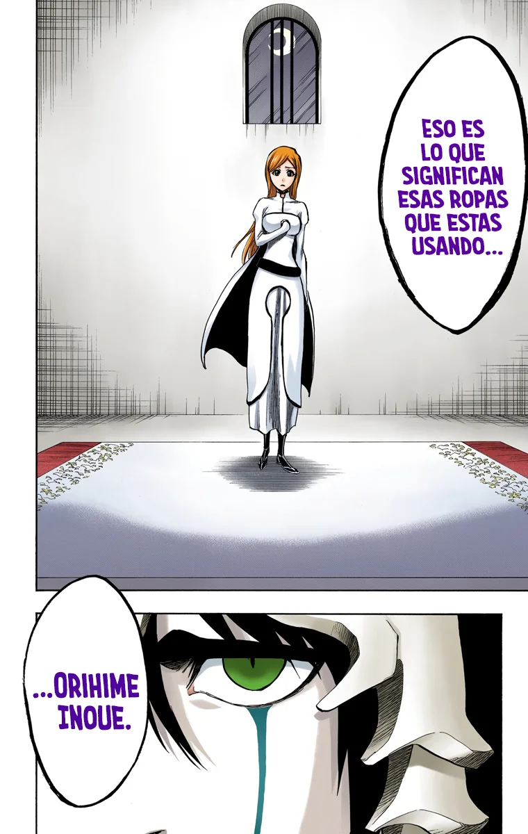 Bleach – Digital Colored Comics Capítulo 248 - Page 3