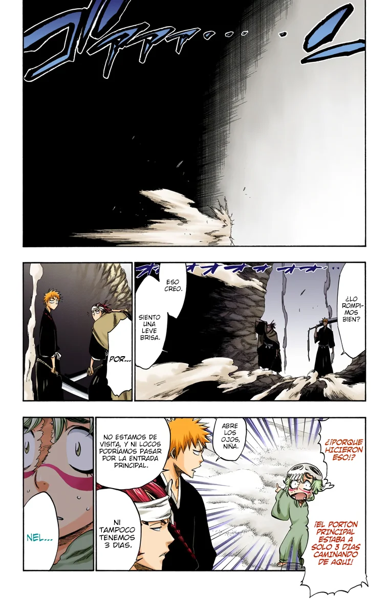 Bleach – Digital Colored Comics Capítulo 248 - Page 6
