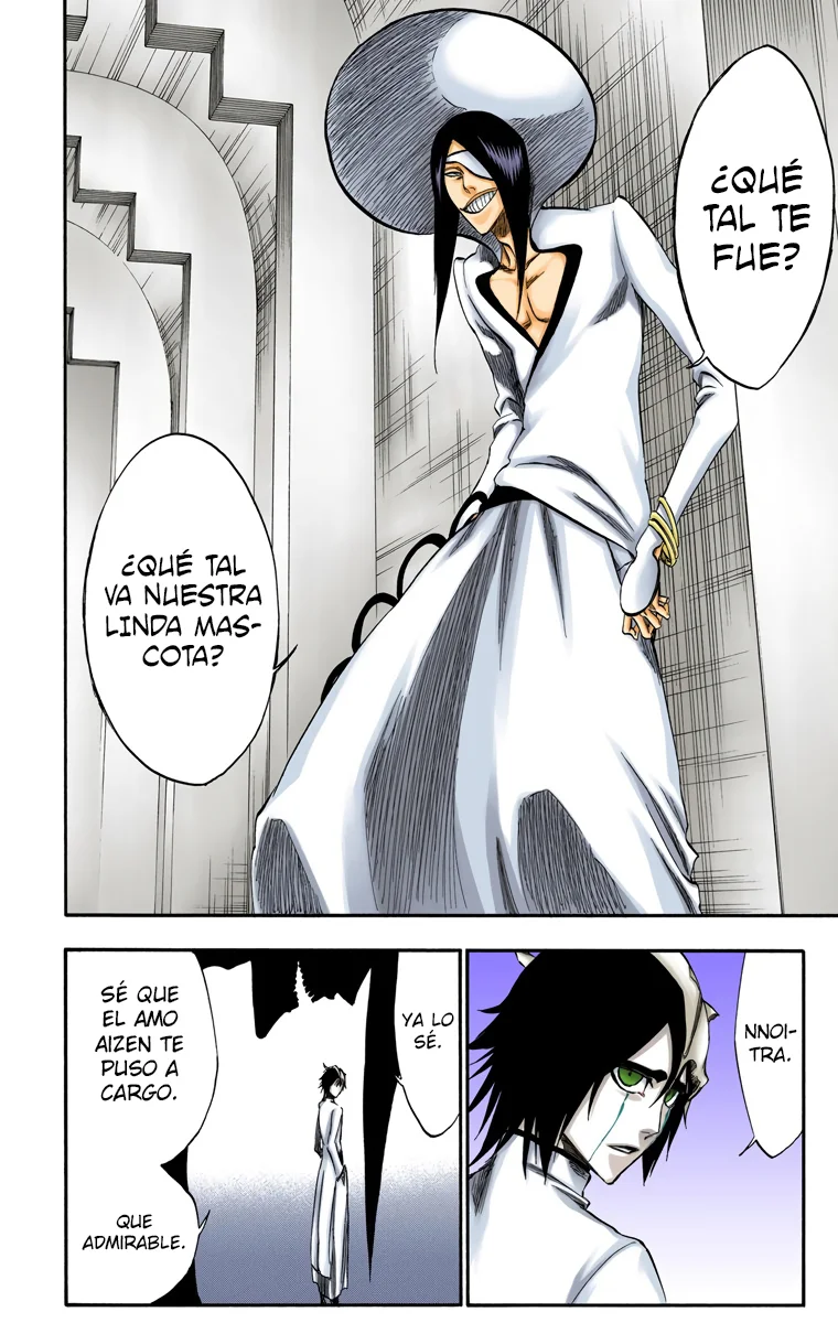 Bleach – Digital Colored Comics Capítulo 249 - Page 7