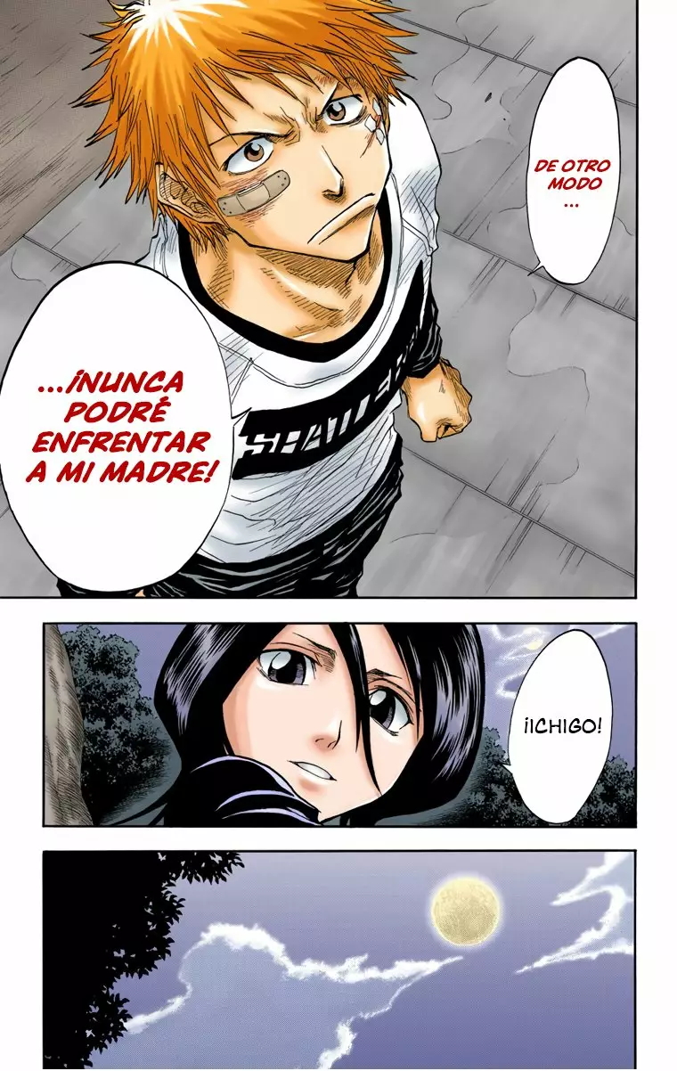 Bleach – Digital Colored Comics Capítulo 25 - Page 17