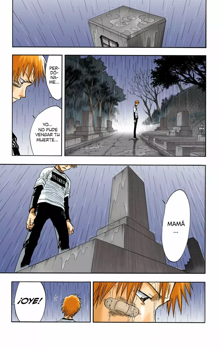 Bleach – Digital Colored Comics Capítulo 25 - Page 7