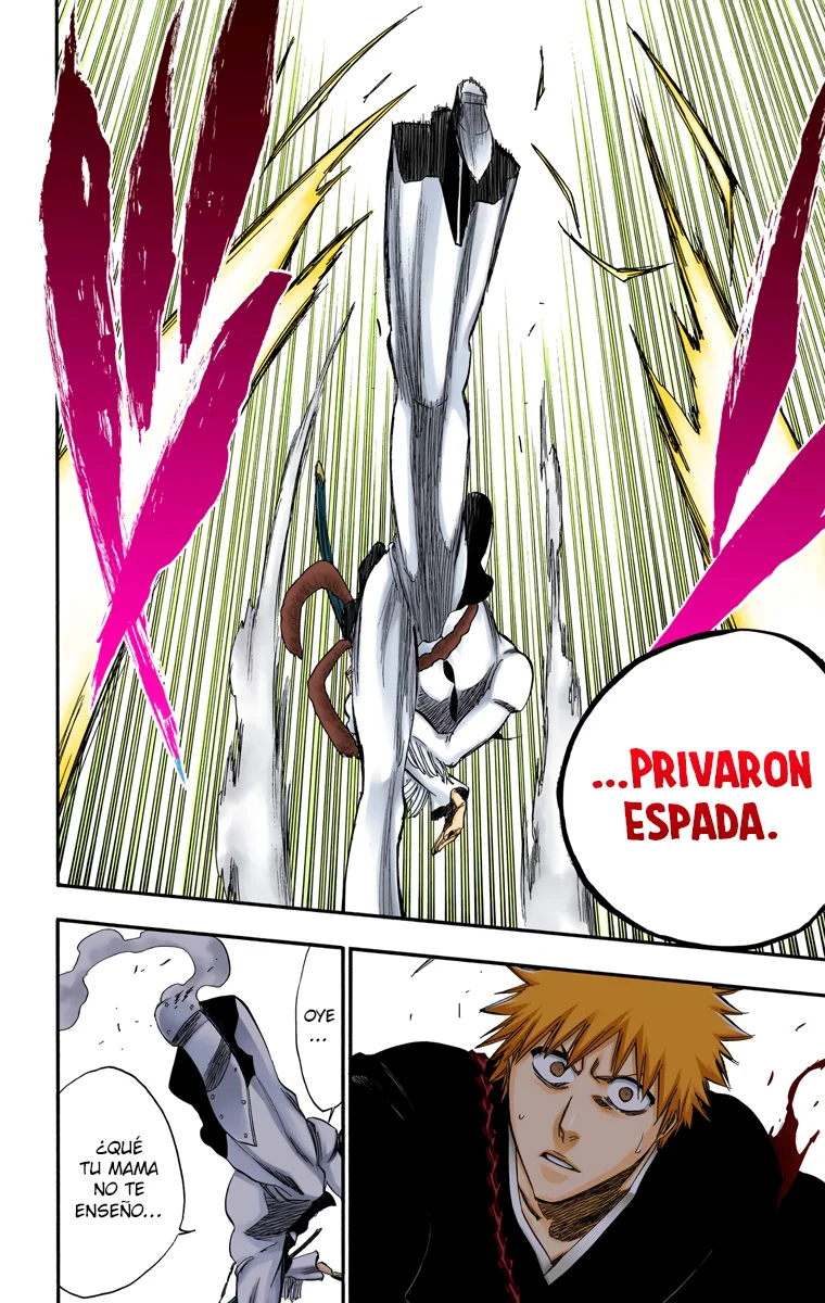 Bleach – Digital Colored Comics Capítulo 250 - Page 21