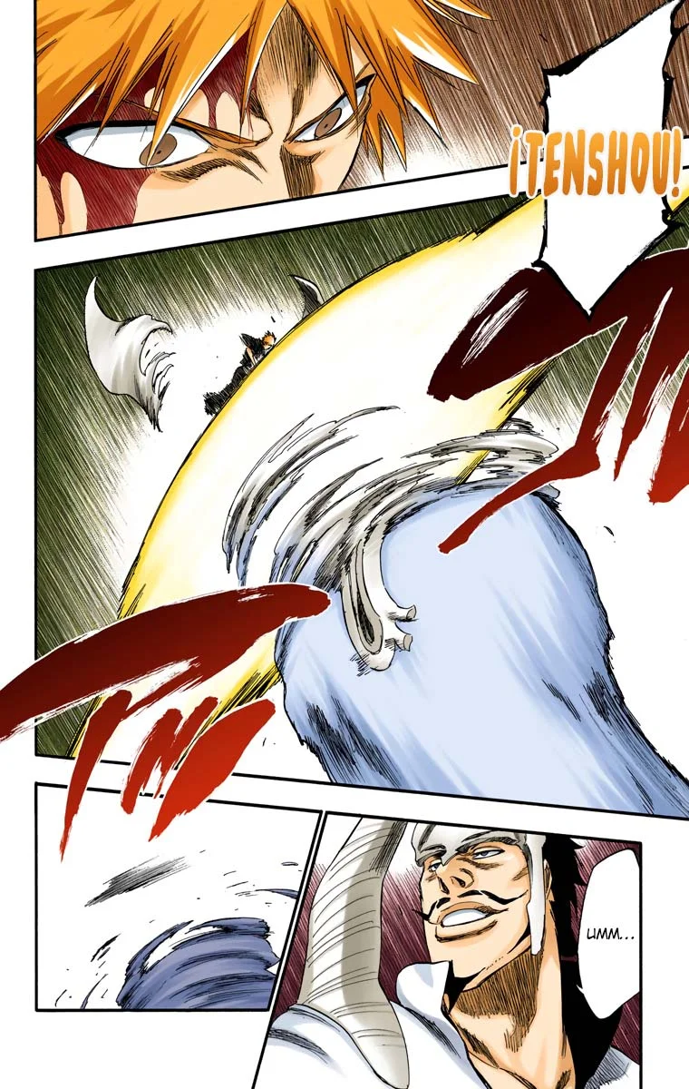 Bleach – Digital Colored Comics Capítulo 252 - Page 16