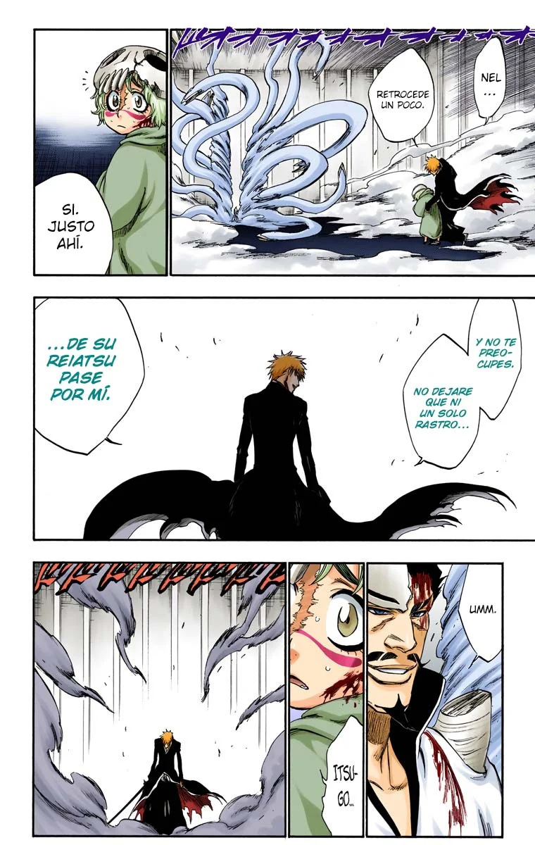 Bleach – Digital Colored Comics Capítulo 253 - Page 13