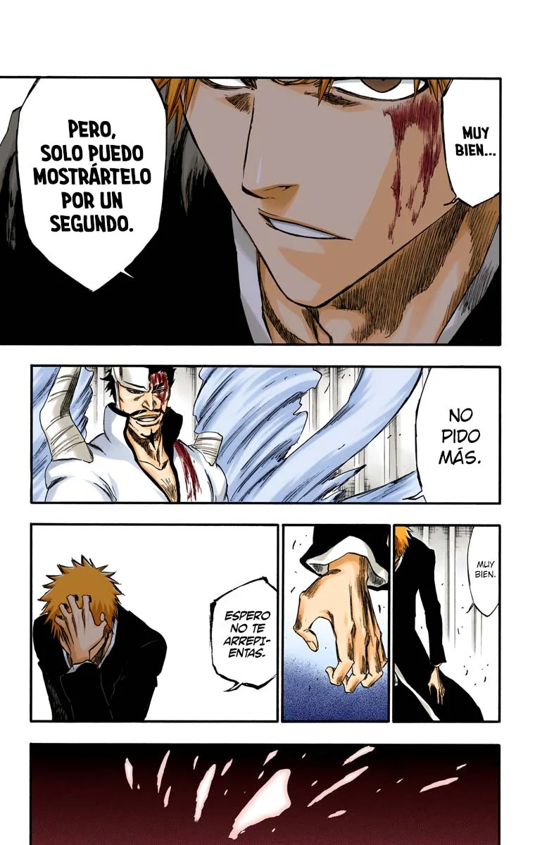 Bleach – Digital Colored Comics Capítulo 253 - Page 14