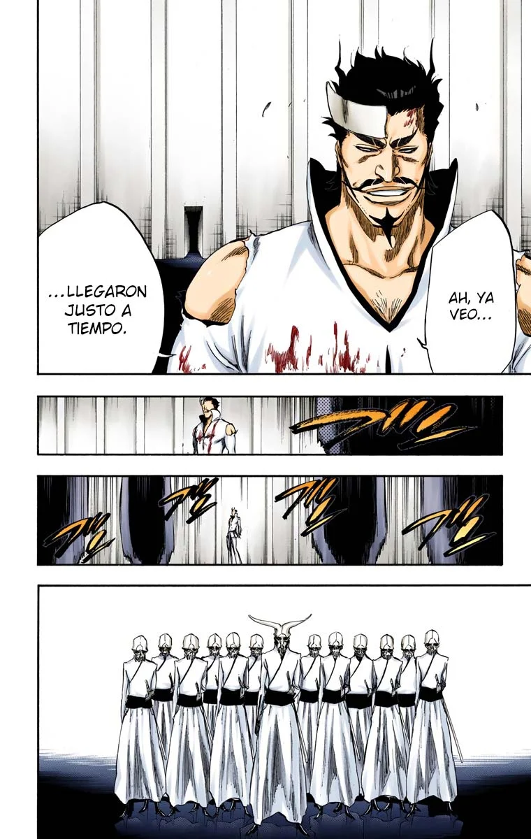 Bleach – Digital Colored Comics Capítulo 254 - Page 13