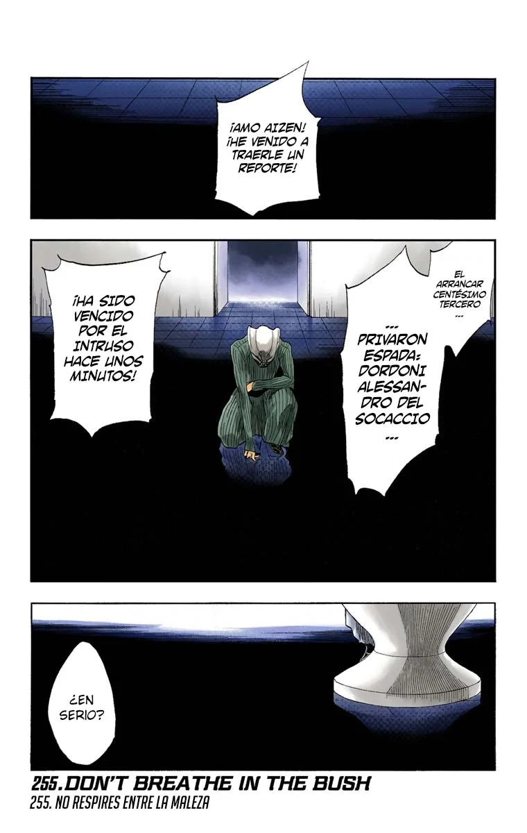Bleach – Digital Colored Comics Capítulo 255 - Page 2
