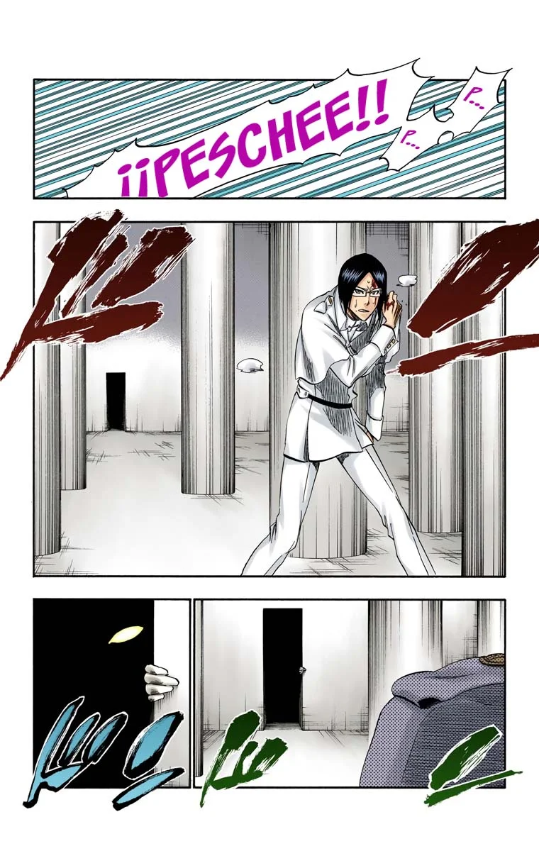 Bleach – Digital Colored Comics Capítulo 256 - Page 6