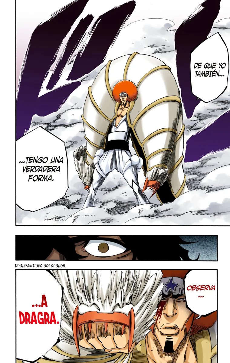 Bleach – Digital Colored Comics Capítulo 260 - Page 13