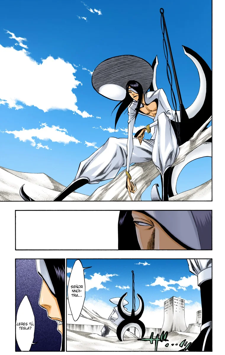 Bleach – Digital Colored Comics Capítulo 263 - Page 4
