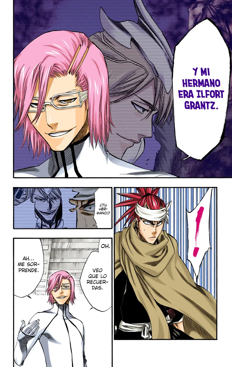 Bleach – Digital Colored Comics Capítulo 265 - Page 14