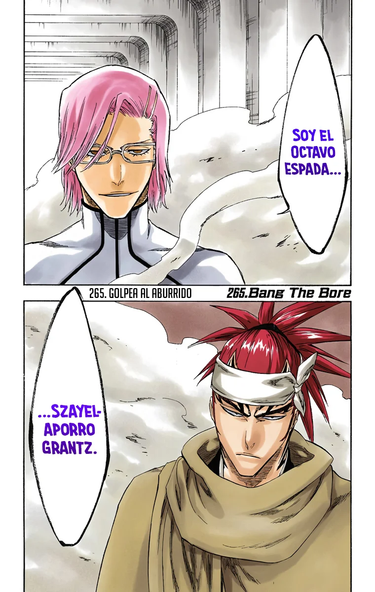 Bleach – Digital Colored Comics Capítulo 265 - Page 2