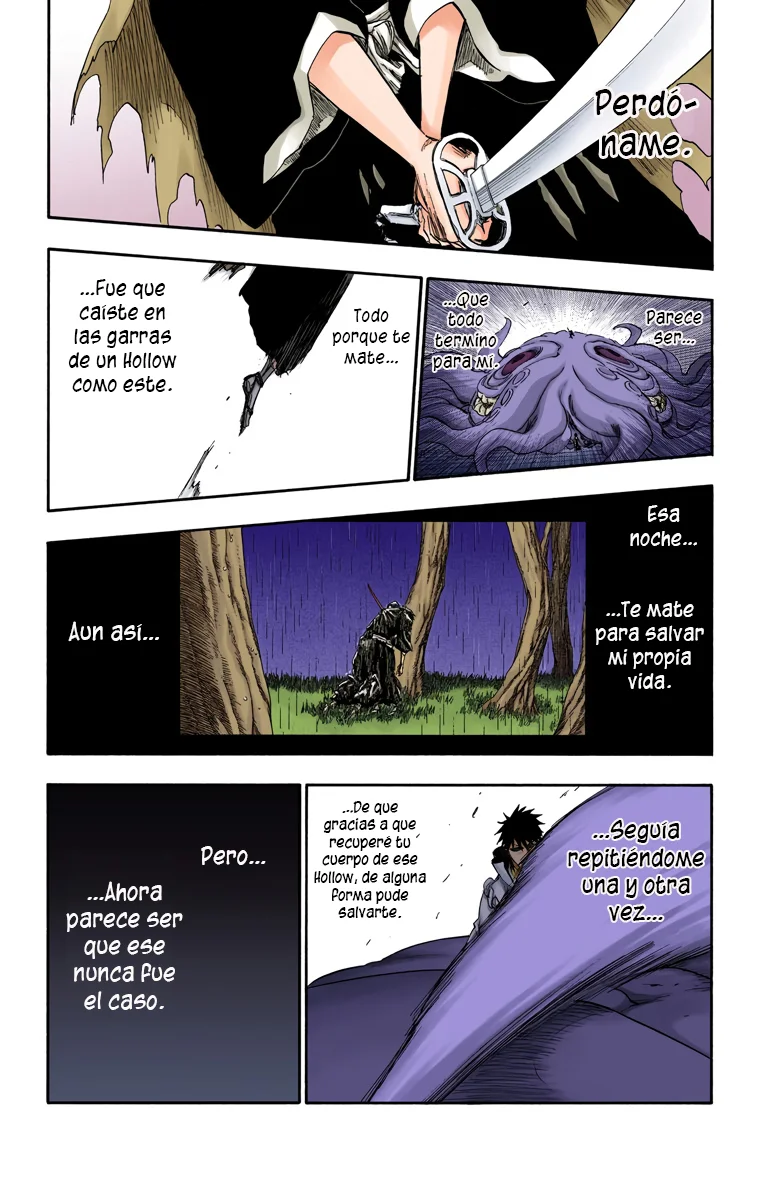 Bleach – Digital Colored Comics Capítulo 267 - Page 16