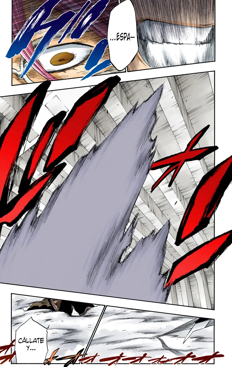 Bleach – Digital Colored Comics Capítulo 269 - Page 16