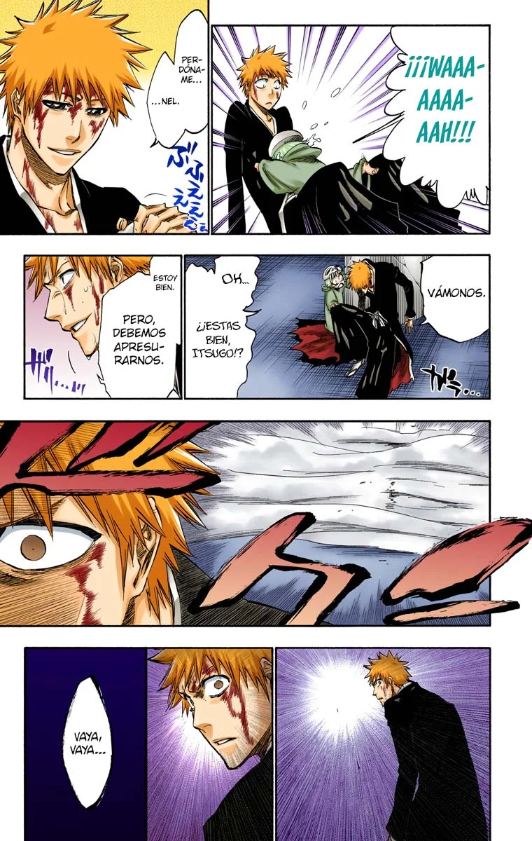 Bleach – Digital Colored Comics Capítulo 271 - Page 6