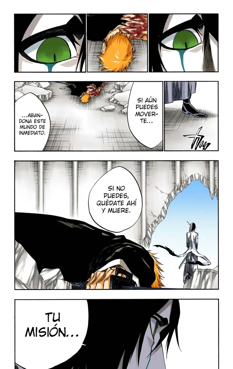 Bleach – Digital Colored Comics Capítulo 272 - Page 4