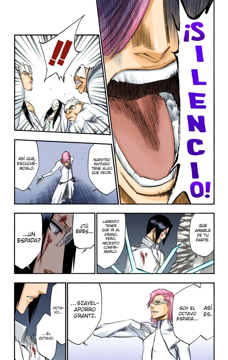 Bleach – Digital Colored Comics Capítulo 273 - Page 16