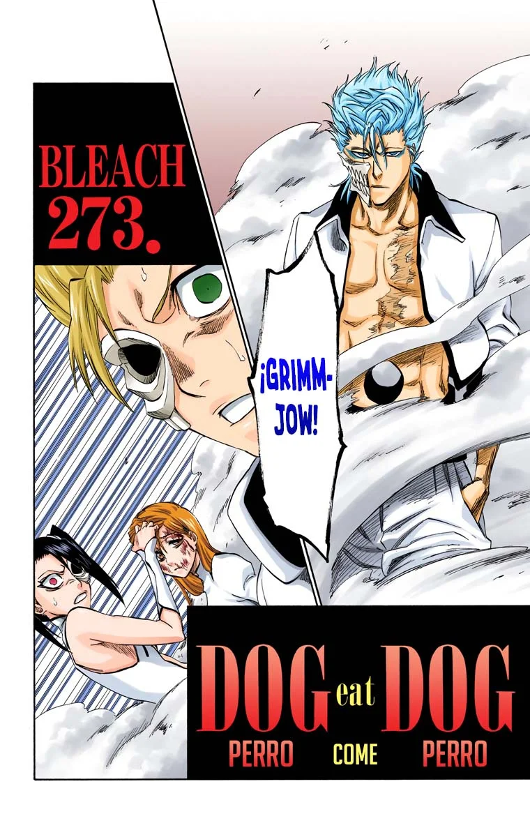 Bleach – Digital Colored Comics Capítulo 273 - Page 3