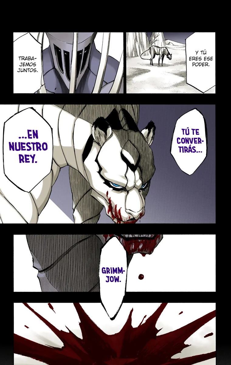 Bleach – Digital Colored Comics Capítulo 284 - Page 12