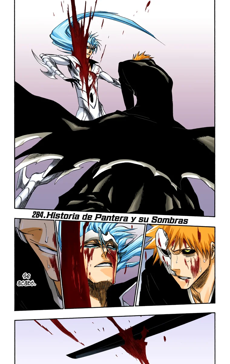 Bleach – Digital Colored Comics Capítulo 284 - Page 2