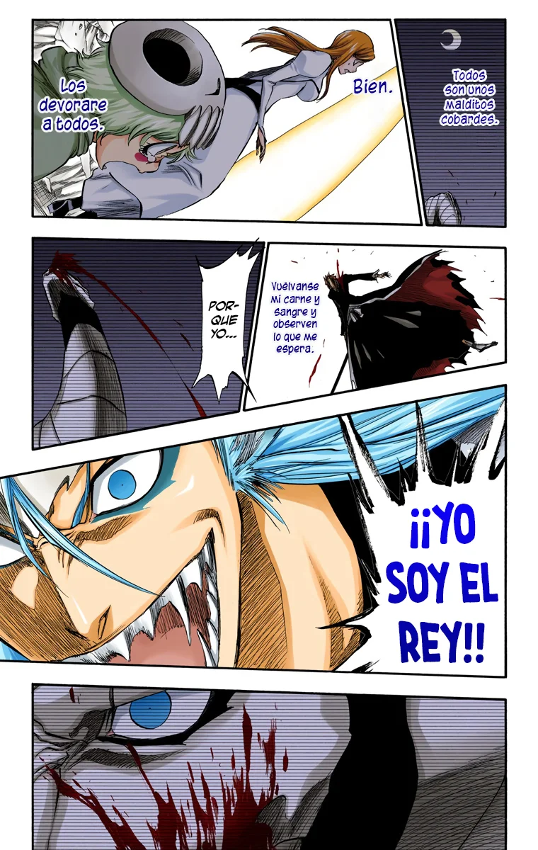 Bleach – Digital Colored Comics Capítulo 285 - Page 11