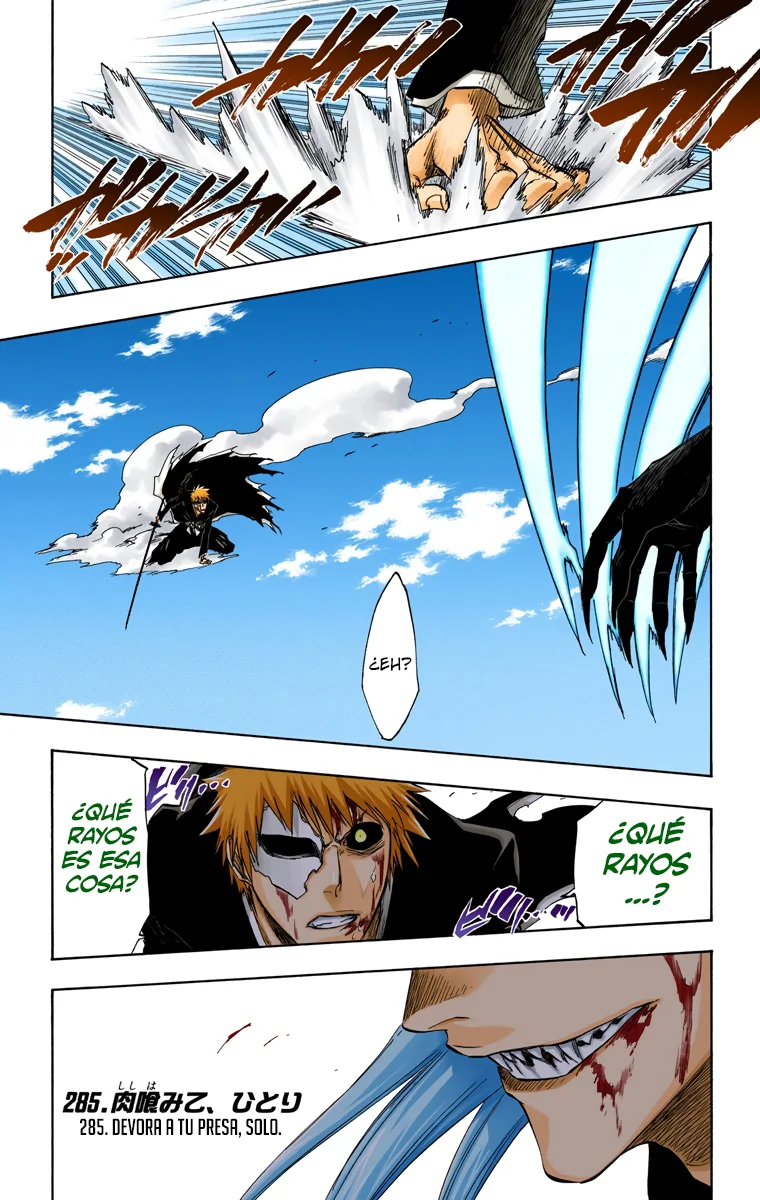 Bleach – Digital Colored Comics Capítulo 285 - Page 2
