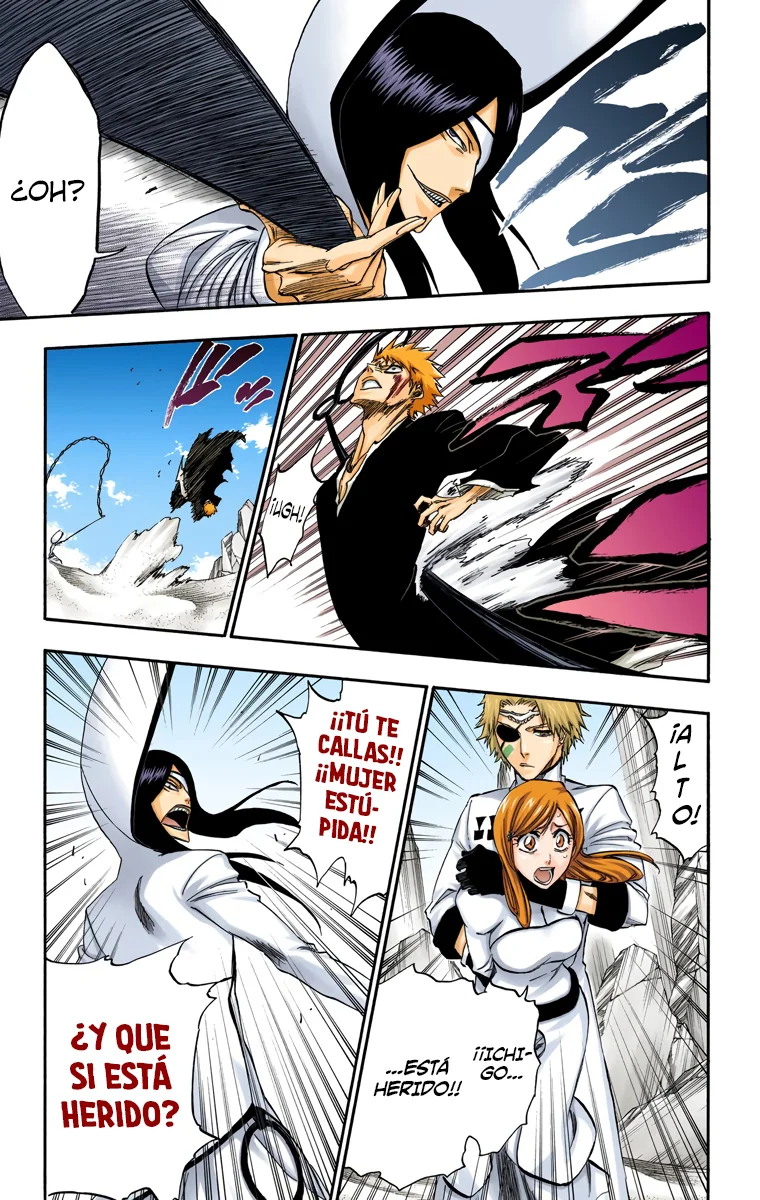 Bleach – Digital Colored Comics Capítulo 288 - Page 17