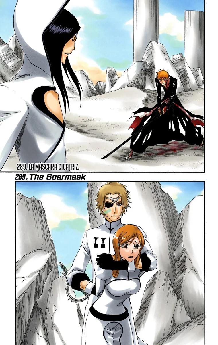 Bleach – Digital Colored Comics Capítulo 289 - Page 2