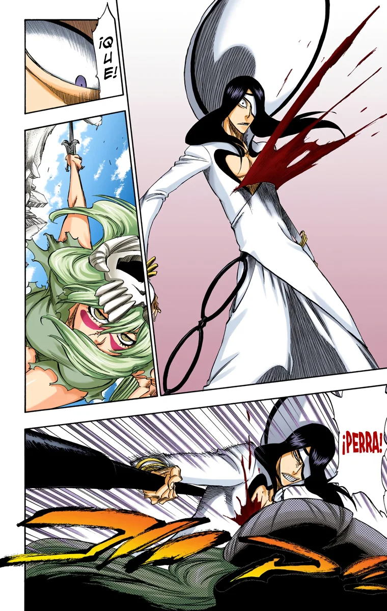 Bleach – Digital Colored Comics Capítulo 291 - Page 14