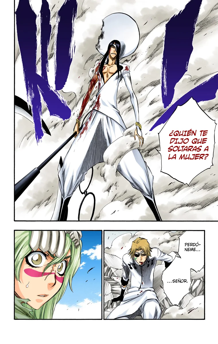 Bleach – Digital Colored Comics Capítulo 292 - Page 7