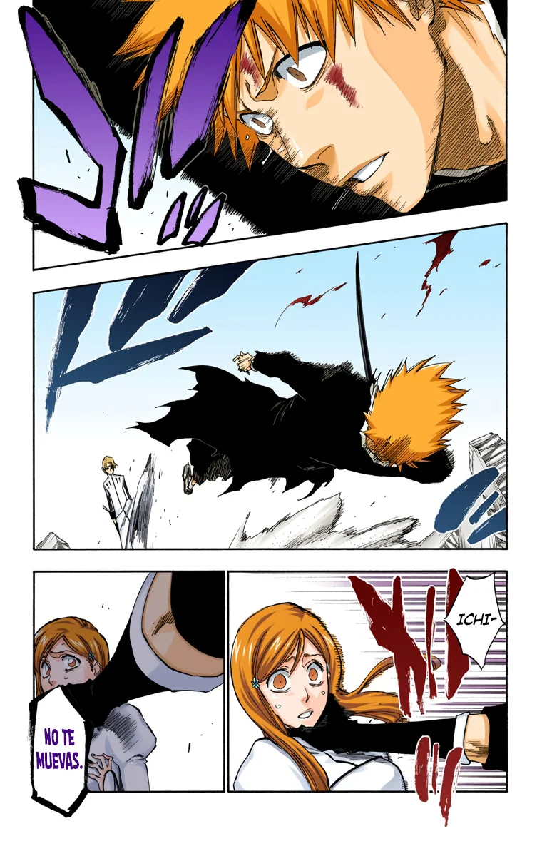 Bleach – Digital Colored Comics Capítulo 294 - Page 3