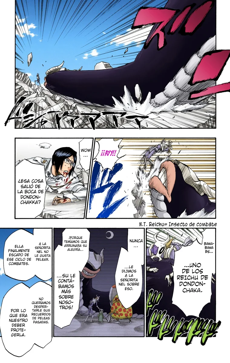 Bleach – Digital Colored Comics Capítulo 295 - Page 14